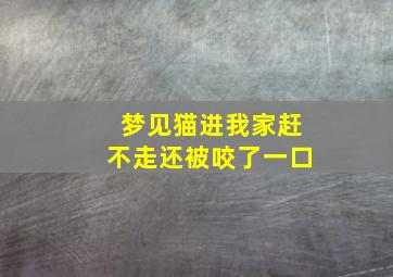 梦见猫进我家赶不走还被咬了一口