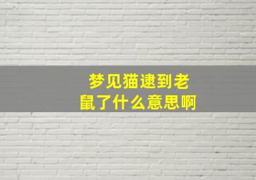 梦见猫逮到老鼠了什么意思啊