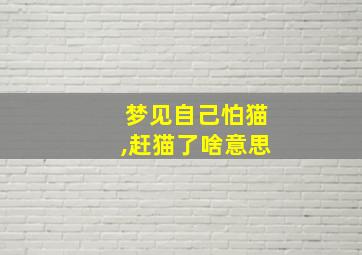 梦见自己怕猫,赶猫了啥意思