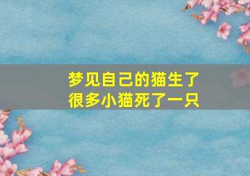 梦见自己的猫生了很多小猫死了一只