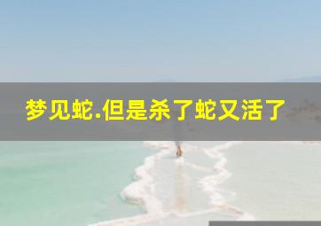 梦见蛇.但是杀了蛇又活了