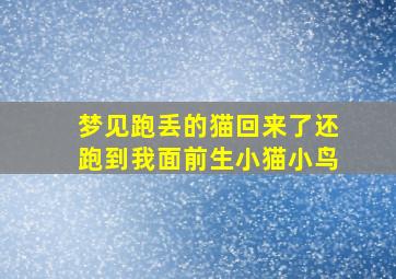 梦见跑丢的猫回来了还跑到我面前生小猫小鸟