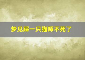 梦见踩一只猫踩不死了