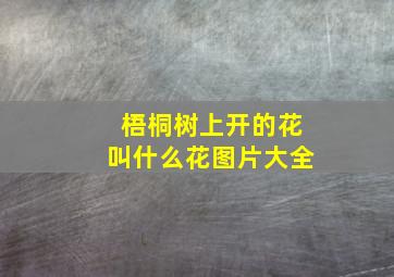 梧桐树上开的花叫什么花图片大全