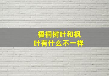 梧桐树叶和枫叶有什么不一样