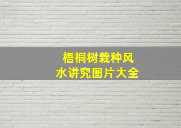 梧桐树栽种风水讲究图片大全