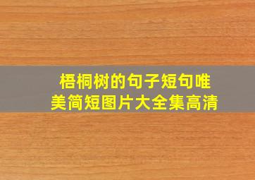 梧桐树的句子短句唯美简短图片大全集高清