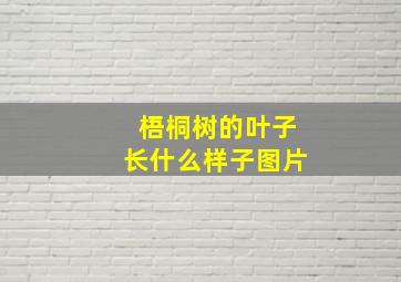 梧桐树的叶子长什么样子图片