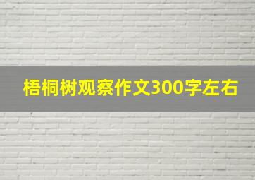 梧桐树观察作文300字左右