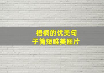 梧桐的优美句子简短唯美图片