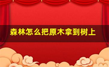 森林怎么把原木拿到树上