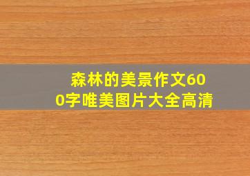 森林的美景作文600字唯美图片大全高清