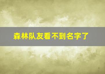 森林队友看不到名字了