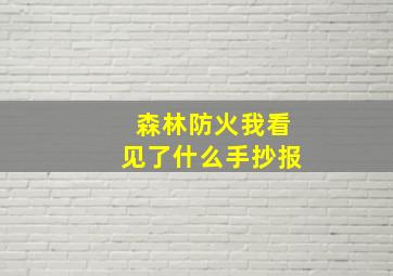 森林防火我看见了什么手抄报