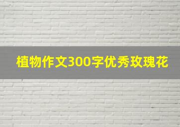 植物作文300字优秀玫瑰花