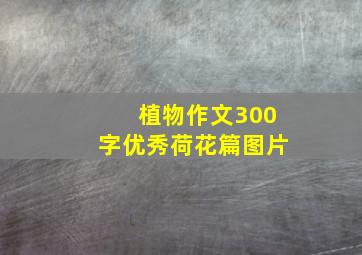 植物作文300字优秀荷花篇图片