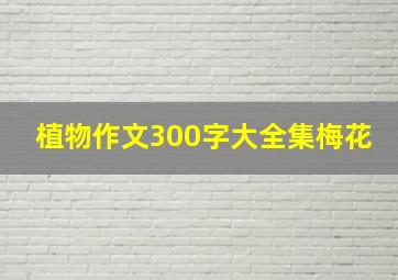 植物作文300字大全集梅花