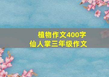 植物作文400字仙人掌三年级作文