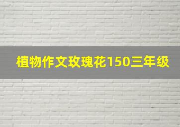 植物作文玫瑰花150三年级