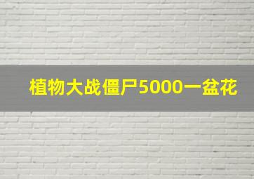 植物大战僵尸5000一盆花