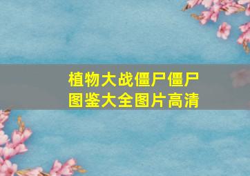 植物大战僵尸僵尸图鉴大全图片高清