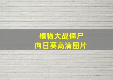 植物大战僵尸向日葵高清图片