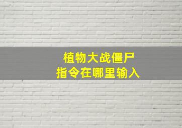 植物大战僵尸指令在哪里输入