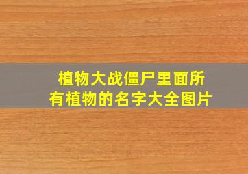 植物大战僵尸里面所有植物的名字大全图片