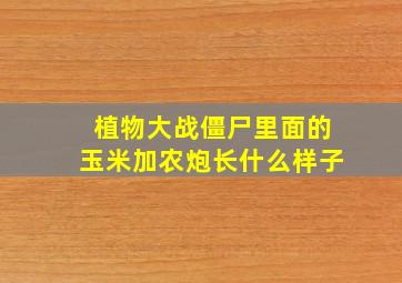 植物大战僵尸里面的玉米加农炮长什么样子