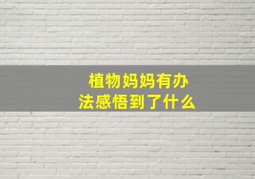 植物妈妈有办法感悟到了什么