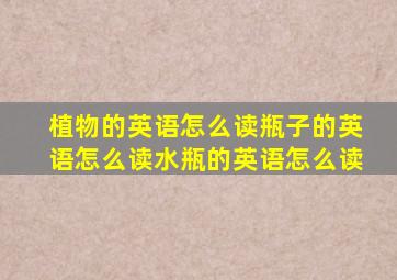 植物的英语怎么读瓶子的英语怎么读水瓶的英语怎么读