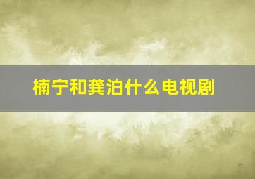 楠宁和龚泊什么电视剧