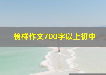 榜样作文700字以上初中