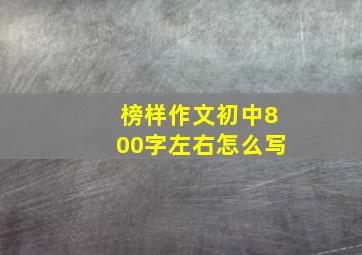 榜样作文初中800字左右怎么写