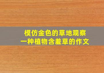 模仿金色的草地观察一种植物含羞草的作文