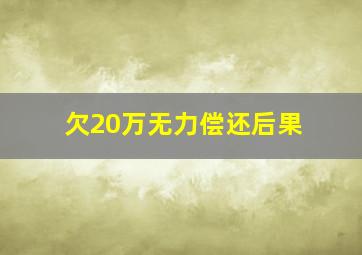 欠20万无力偿还后果