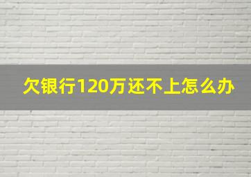 欠银行120万还不上怎么办