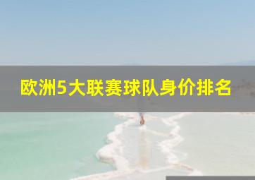 欧洲5大联赛球队身价排名