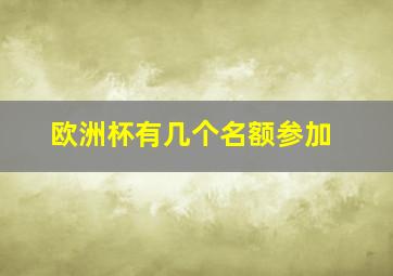 欧洲杯有几个名额参加