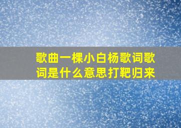 歌曲一棵小白杨歌词歌词是什么意思打靶归来