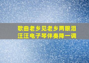 歌曲老乡见老乡两眼泪汪汪电子琴伴奏降一调