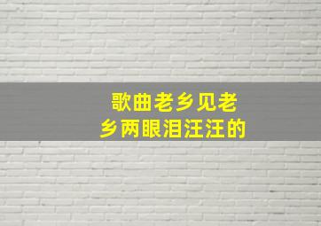 歌曲老乡见老乡两眼泪汪汪的