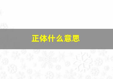 正体什么意思