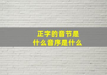 正字的音节是什么音序是什么