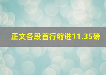 正文各段首行缩进11.35磅