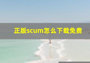 正版scum怎么下载免费