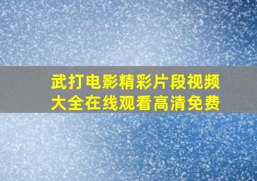 武打电影精彩片段视频大全在线观看高清免费