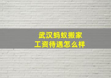 武汉蚂蚁搬家工资待遇怎么样