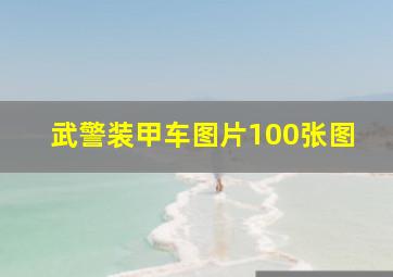 武警装甲车图片100张图