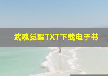 武魂觉醒TXT下载电子书